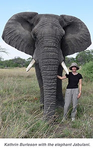 Kathrin Burleson with the elephant named Jubulani.