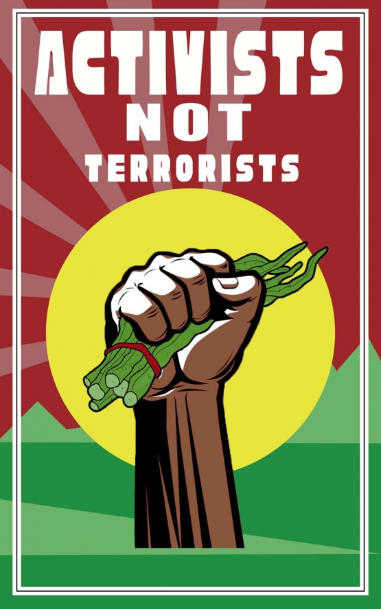 Monique Enriquez Activists not terrorists